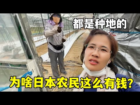 博托沙尼连,战连捷,焦点对决,开云体育,开云体育官网,开云体育app,开云体育app下载