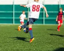 揭秘国足选,帅风云,本土名帅李,开云体育,开云体育官网,开云体育app,开云体育app下载